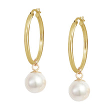 Load image into Gallery viewer, Poppy Finch Medium Gold Hoop Pearl Earrings