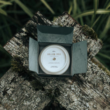 Load image into Gallery viewer, Hollow Tree Candles Shannon Falls - Ceramic Jar