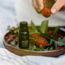 Load image into Gallery viewer, Hollow Tree Candles Coastal Wolf - Diffuser Oil