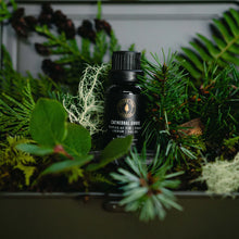 Load image into Gallery viewer, Hollow Tree Candles Cathedral Grove - Diffuser Oil