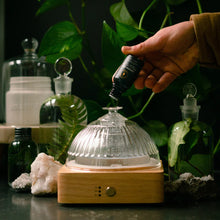 Load image into Gallery viewer, Hollow Tree Candles Cathedral Grove - Diffuser Oil