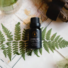 Load image into Gallery viewer, Hollow Tree Candles Cathedral Grove - Diffuser Oil