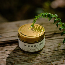 Load image into Gallery viewer, Hollow Tree Candles Cathedral Grove - Travel Tin