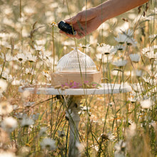 Load image into Gallery viewer, Hollow Tree Candles Shannon Falls - Diffuser Oil