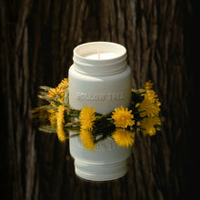 Load image into Gallery viewer, Hollow Tree Candles Dandelion - Ceramic Jar