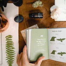 Load image into Gallery viewer, Hollow Tree Candles Golden Spruce - Diffuser Oil