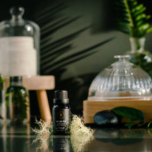 Load image into Gallery viewer, Hollow Tree Candles Hollow Tree - Diffuser Oil