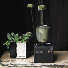 Load image into Gallery viewer, Tatine Candles Garden Mint