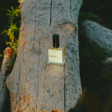 Load image into Gallery viewer, Wildcoast Perfumery Abkhazi Eu de Parfum