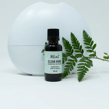 Load image into Gallery viewer, Mint Clean Home Essential Oil Blend