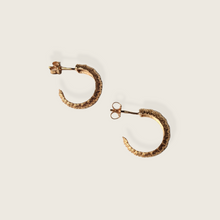 Load image into Gallery viewer, Little Gold Ellie Hoop Earrings