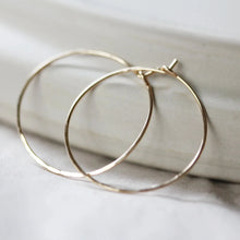 Load image into Gallery viewer, Little Gold Ani Hoop Earrings