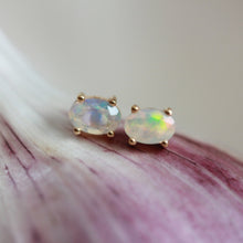 Load image into Gallery viewer, Little Gold Ava Stud Earrings