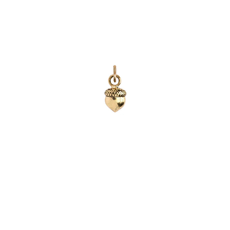 Pyrrha Acorn 14K Gold Symbol Charm