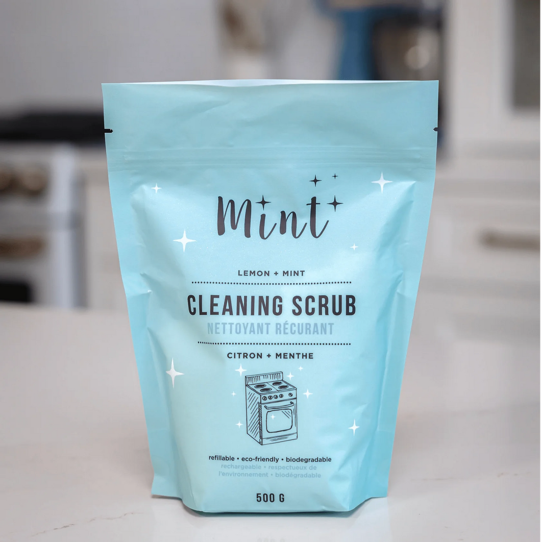 Mint Cleaning Scrub Refill Pouch