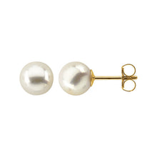 Load image into Gallery viewer, Poppy Finch Akoya Pearl Studs
