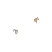 Load image into Gallery viewer, Hailey Gerrits Delmont Earrings
