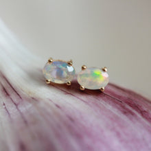 Load image into Gallery viewer, Little Gold Ava Stud Earrings
